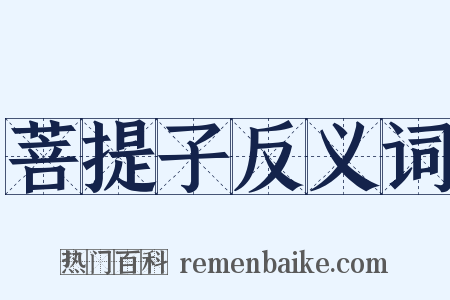菩提子反义词是什么意思的图片